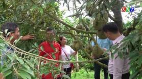 Trên địa bàn tỉnh có 05 mô hình Hội quán ở lĩnh vực nông nghiệp