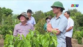 Lựa chọn giống cây trồng hiệu quả