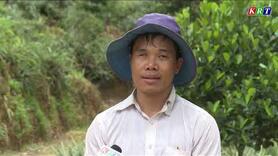 Đẩy mạnh ứng dụng công nghệ cao vào sản xuất nông nghiệp