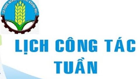 Lịch công tác Tuần 24 năm 2025